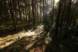 下野 杉山城の写真