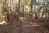 下野 諏訪山城の写真