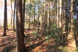 下野 諏訪山城の写真