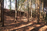 下野 諏訪山城の写真