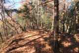 下野 諏訪山城の写真
