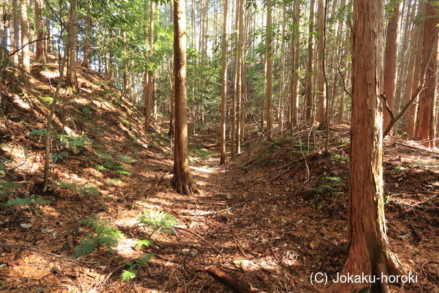 下野 諏訪山北城の写真