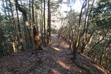 下野 諏訪山北城の写真