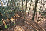下野 諏訪山北城の写真