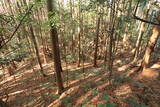 下野 諏訪山北城の写真