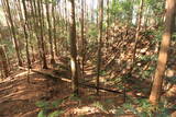 下野 諏訪山北城の写真