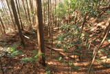 下野 諏訪山北城の写真