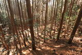 下野 諏訪山北城の写真