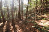 下野 諏訪山北城の写真