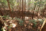 下野 諏訪山北城の写真