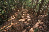 下野 諏訪山北城の写真