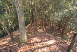 下野 諏訪山北城の写真