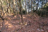 下野 諏訪山北城の写真