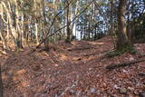 下野 諏訪山北城の写真