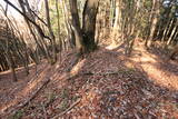 下野 諏訪山北城の写真