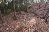 下野 諏訪山北城の写真