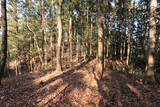 下野 諏訪山北城の写真