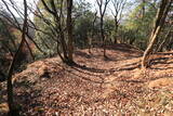 下野 諏訪山北城の写真