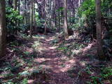 下野 多気山城の写真