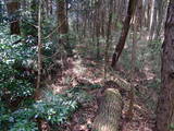 下野 多気山城の写真