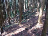 下野 多気山城の写真