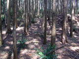 下野 多気山城の写真