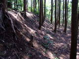 下野 多気山城の写真