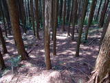 下野 多気山城の写真