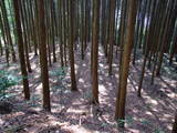 下野 多気山城の写真