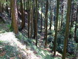 下野 多気山城の写真