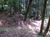 下野 多気山城の写真