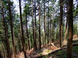 下野 多気山城の写真