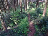 下野 多気山城の写真