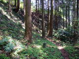 下野 多気山城の写真