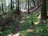 下野 多気山城の写真