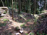 下野 多気山城の写真