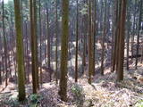 下野 多気山城の写真