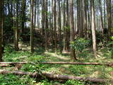 下野 多気山城の写真