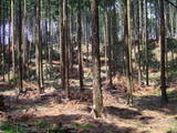 下野 多気山城の写真