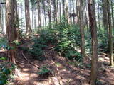 下野 多気山城の写真