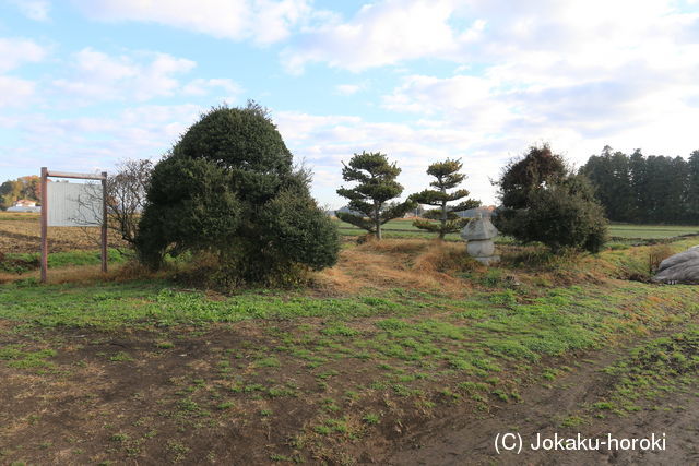 下野 高橋城(芳賀町)の写真