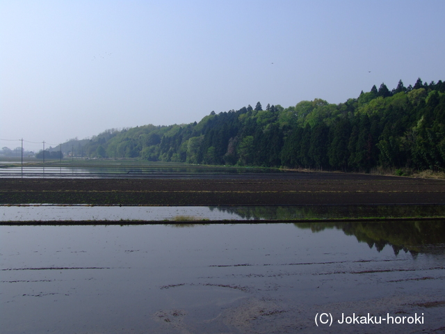 下野 高根沢城の写真