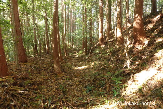 下野 玉生城の写真