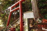 下野 玉生城の写真