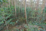 下野 玉生城の写真