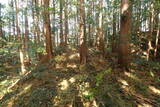 下野 玉生城の写真