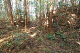 下野 玉生城の写真