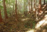 下野 玉生城の写真