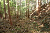 下野 玉生城の写真