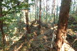 下野 玉生城の写真